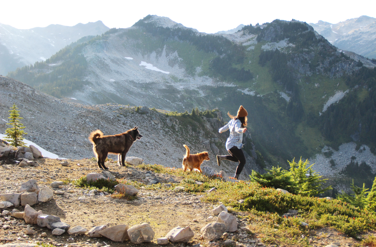 Local hikes with dogs hot sale