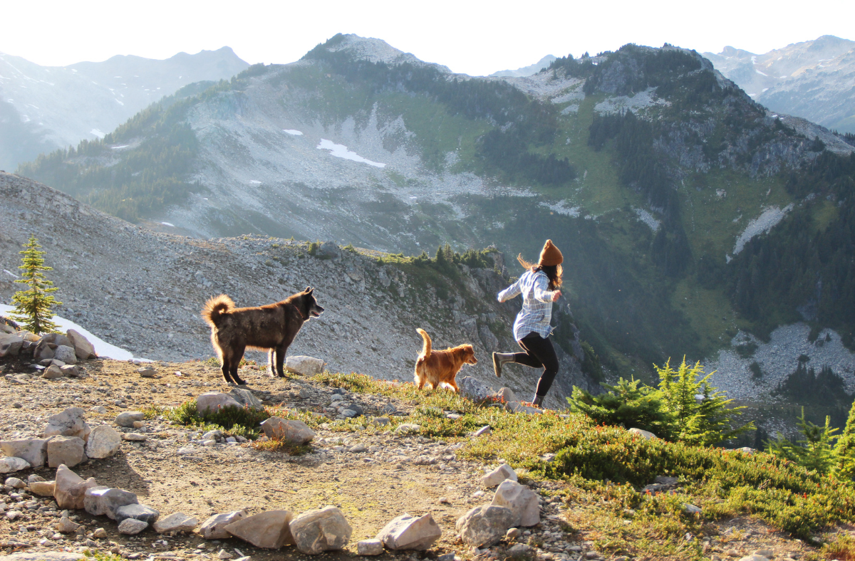 Our Favourite Dog-Friendly Adventure Hikes in Whistler