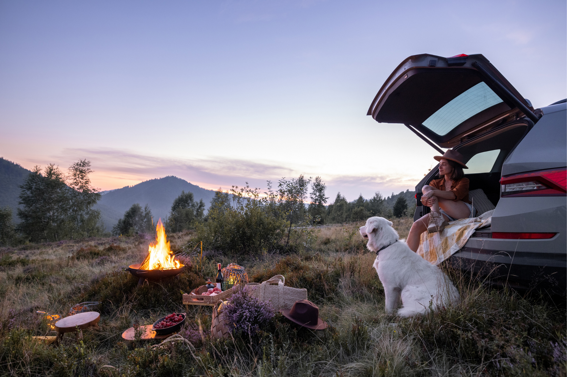 How to Plan a Smooth & Pawsome Summer Road Trip with Your Dog
