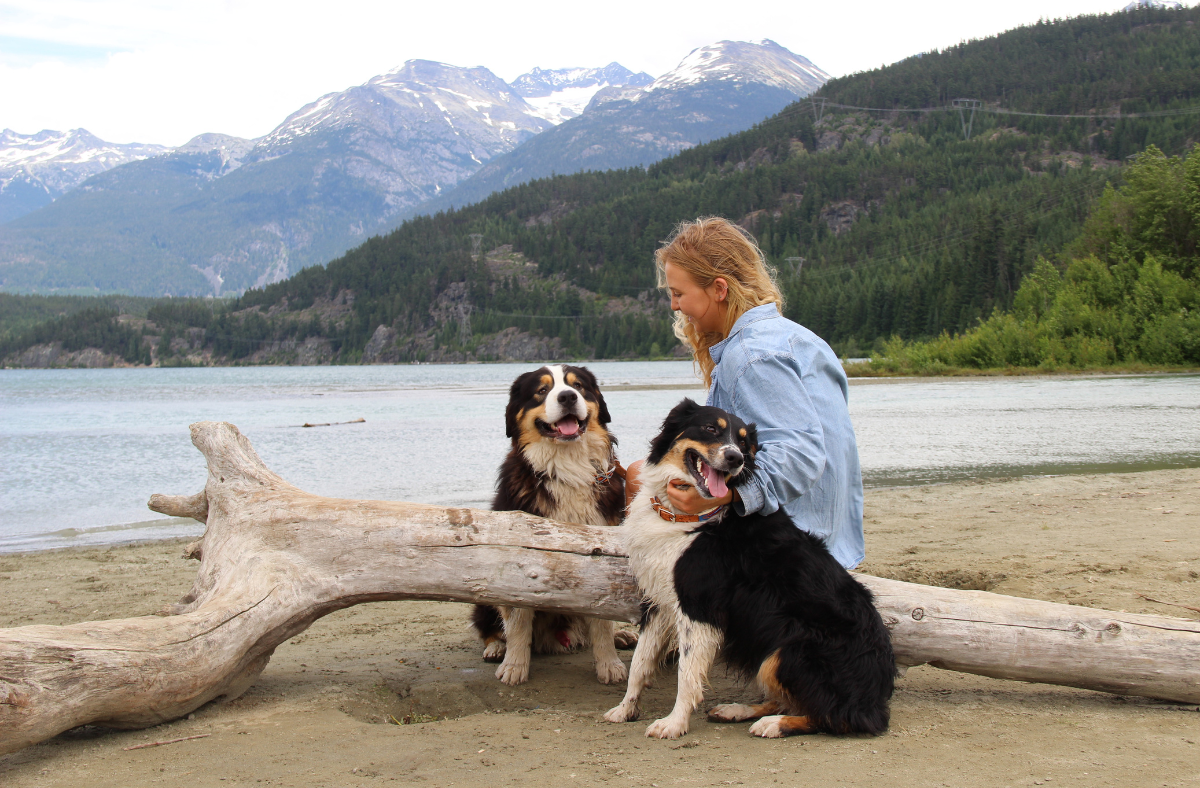 A Day in the Life of a Whistler Dog Walker