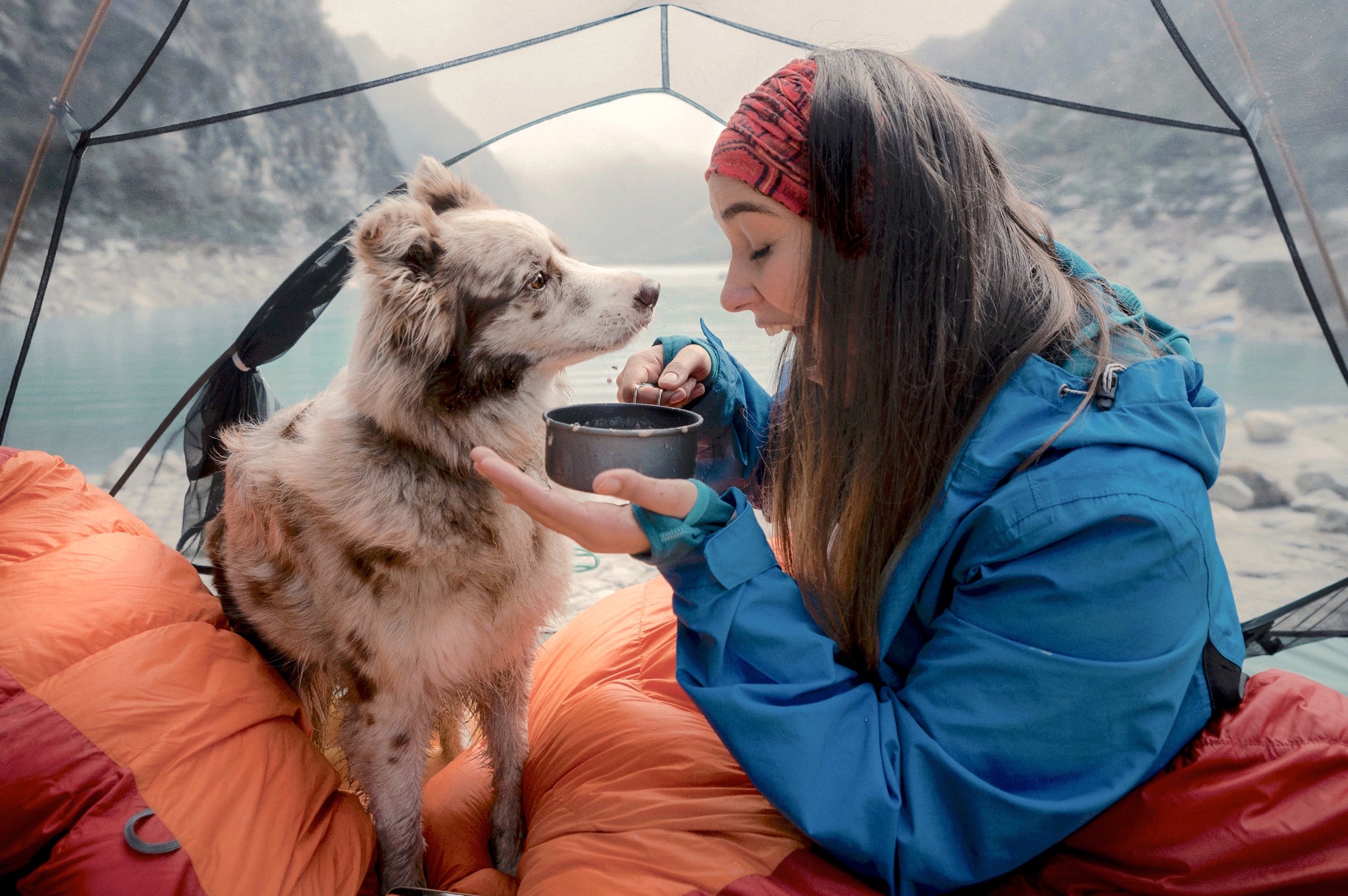 The Joys of Taking Your Dog Camping