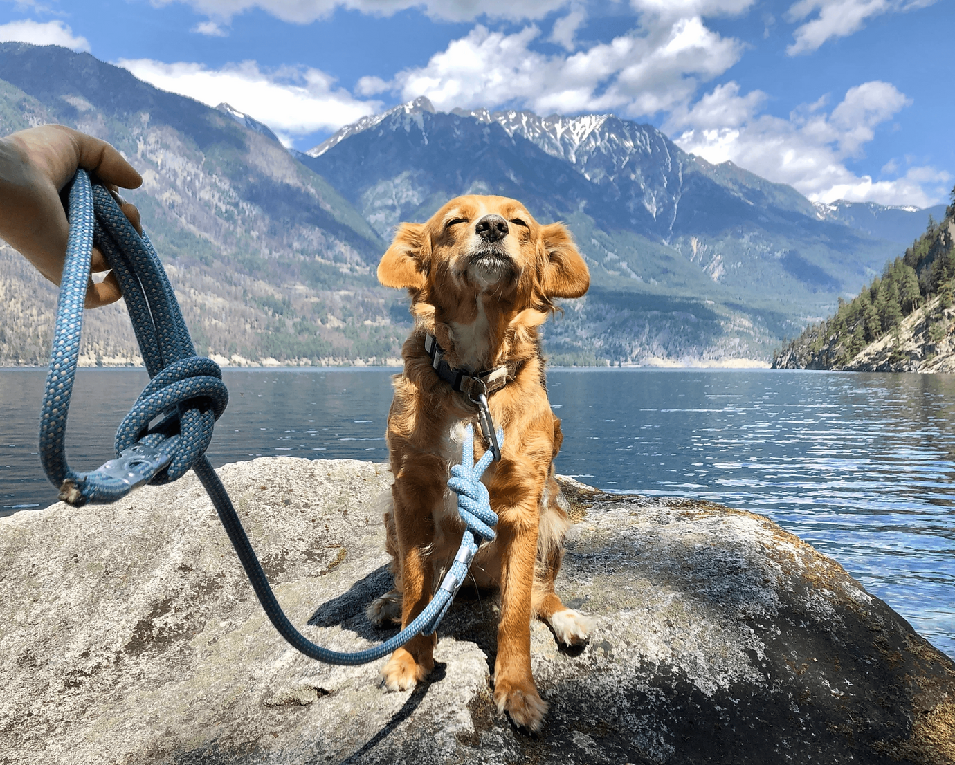 Upcycled Climbing Rope Leash - Little Pine Lifestyle and Apparel