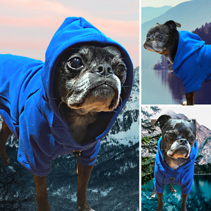 Upcycled Fleece Arcteryx Hoodie - Little Pine Lifestyle and Apparel