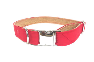 Eco-Friendly Cork & Upcycled Gore-Tex Collar ™ - Little Pine Lifestyle and Apparel